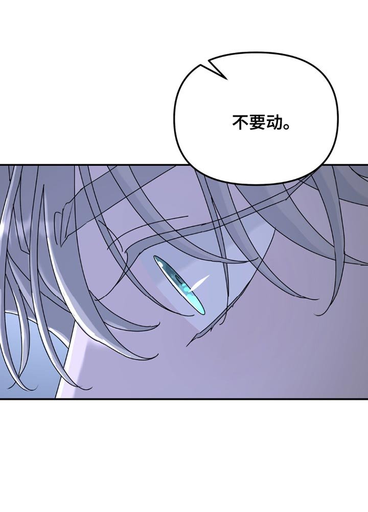 第149章：【第二季】不要动！
