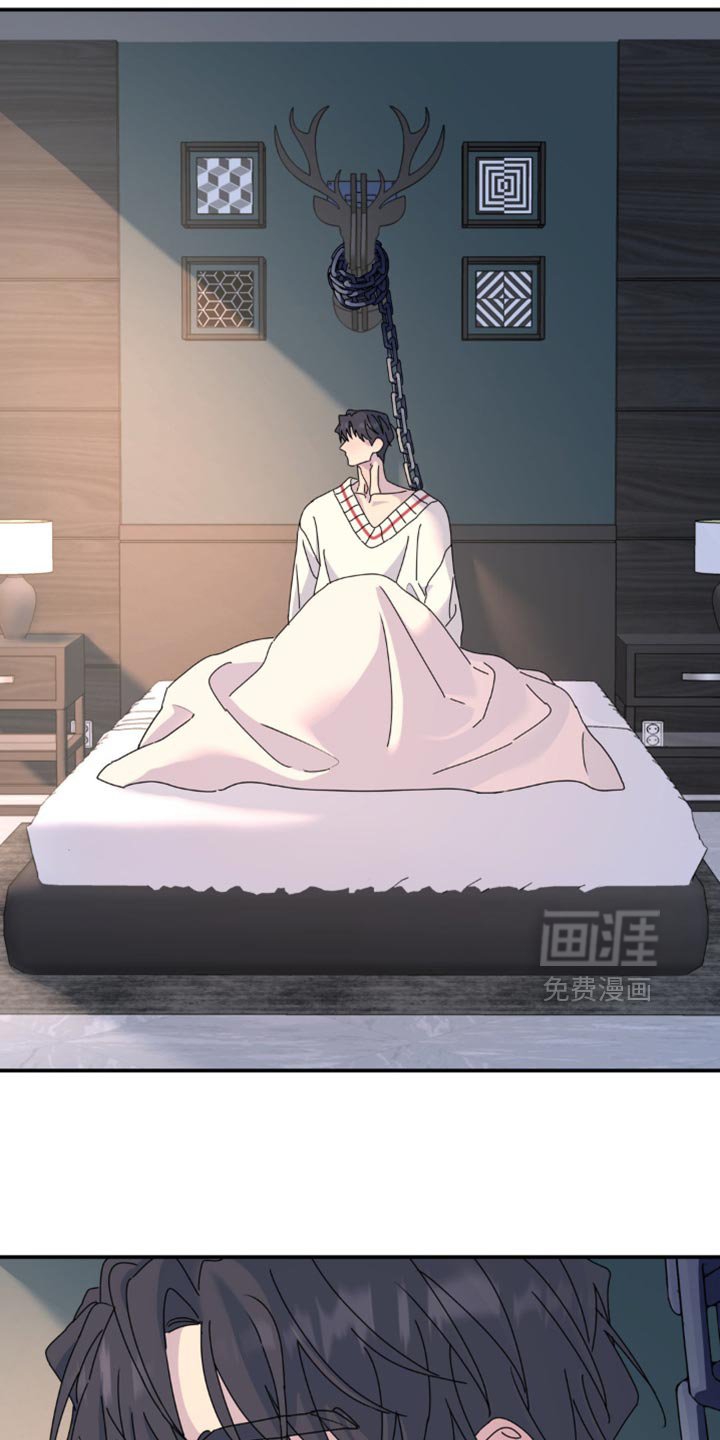 第163章：【第二季】总算看我了