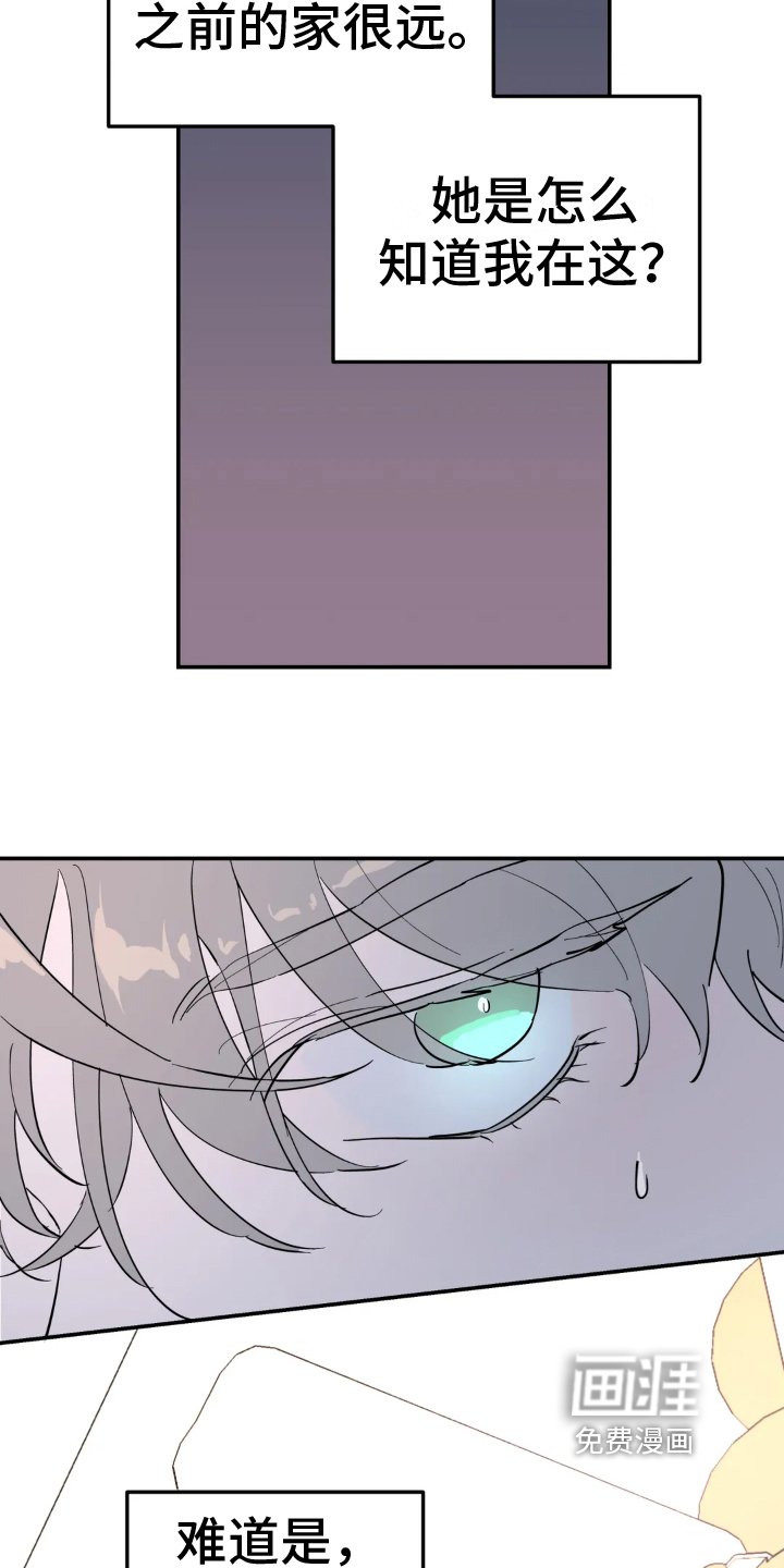 第17章：躲藏