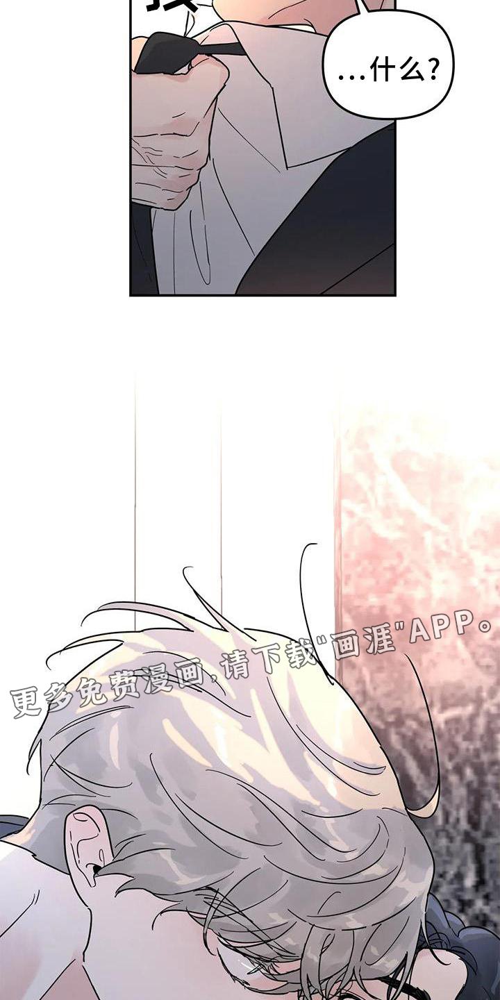 第19章：决绝