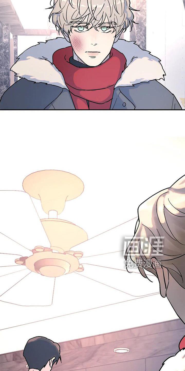第20章：惊喜