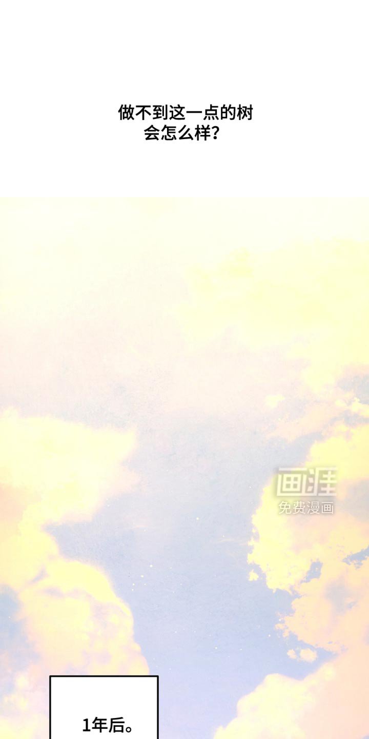第221章：【第二季完结】简报会