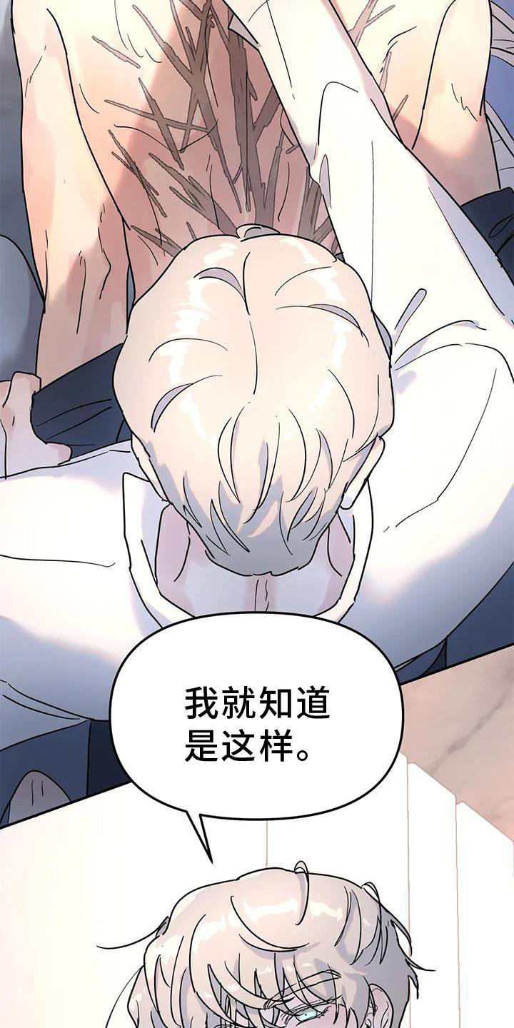 第28章：果然