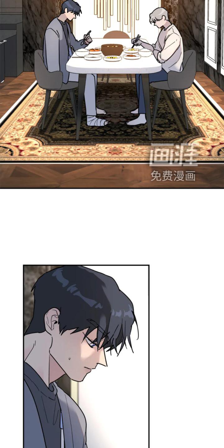 第31章：理解