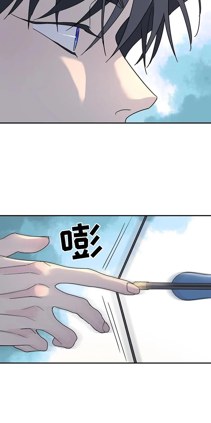 第63章：报告