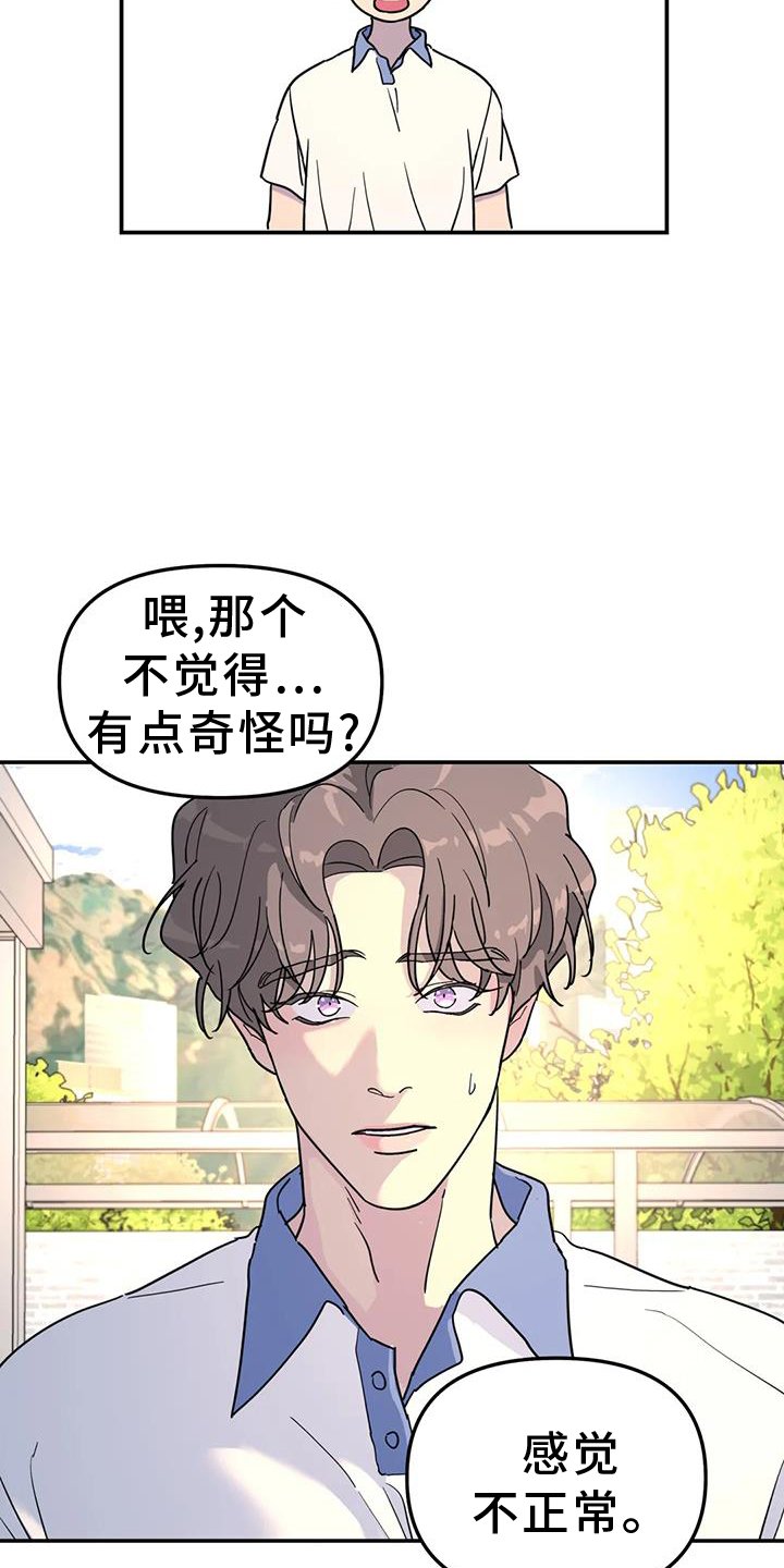 第63章：报告