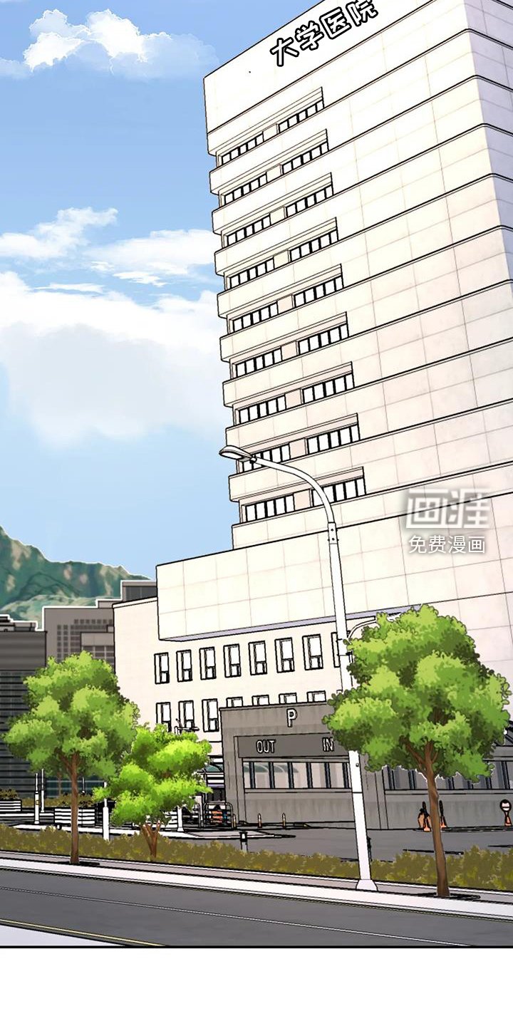 第63章：报告