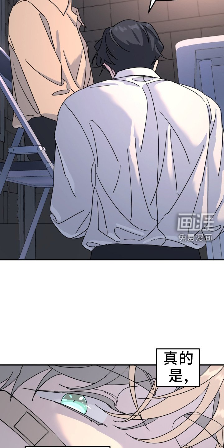 第80章：什么都爱