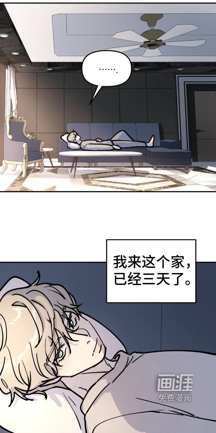 第9章：带回家