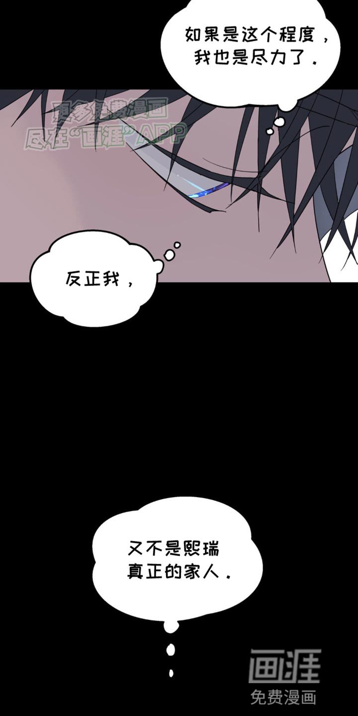 第97章：从来都没喜欢过你