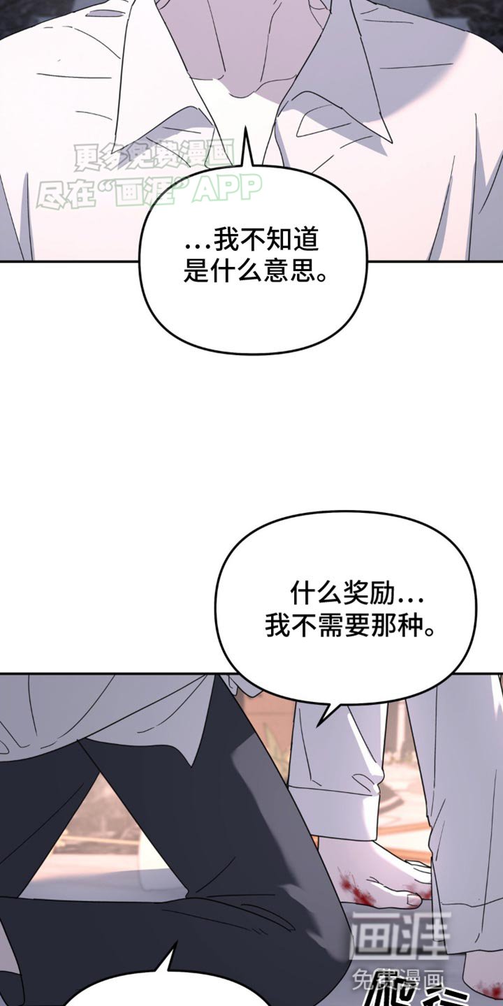 第97章：从来都没喜欢过你
