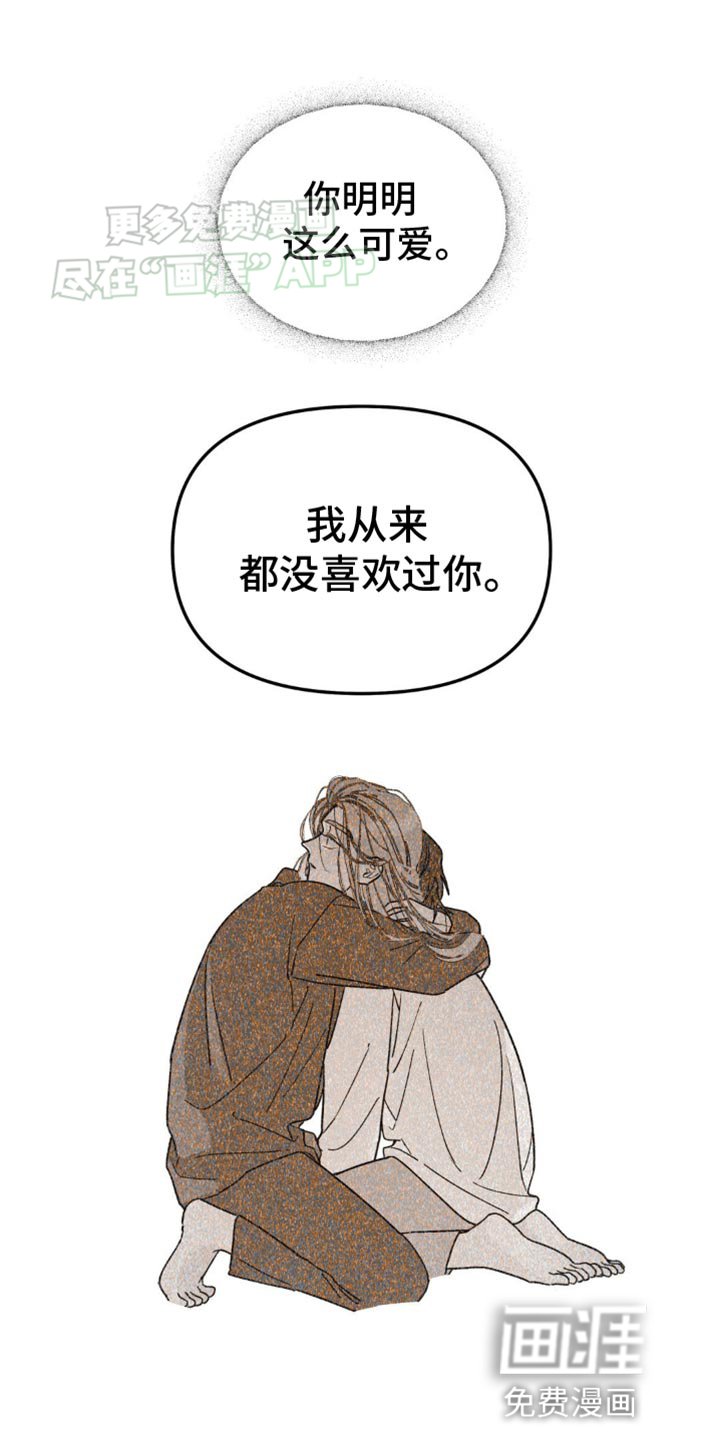 第97章：从来都没喜欢过你