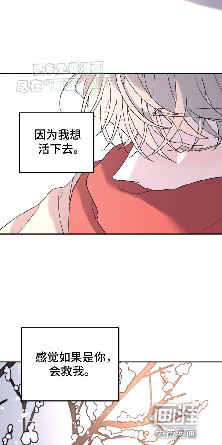 第98章：跟我无关