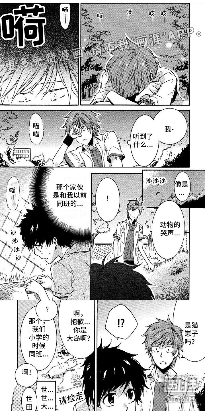 第28章：“熊杀手”