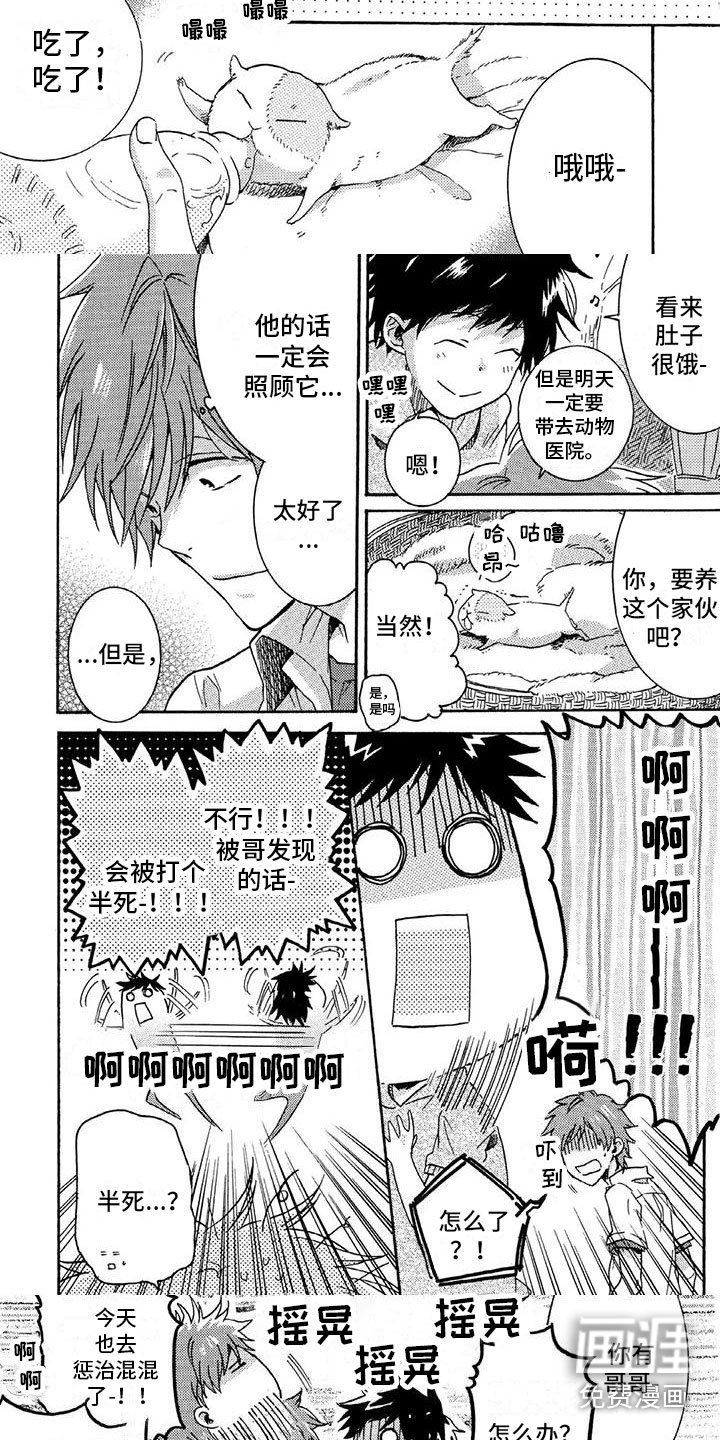 第28章：“熊杀手”