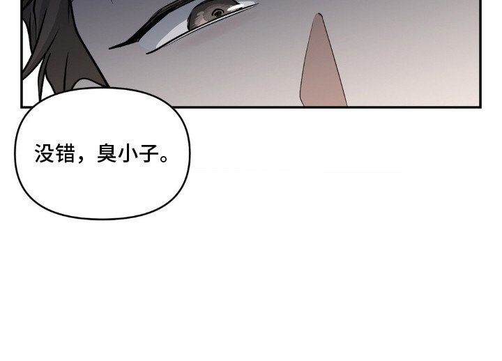 第1章：口水