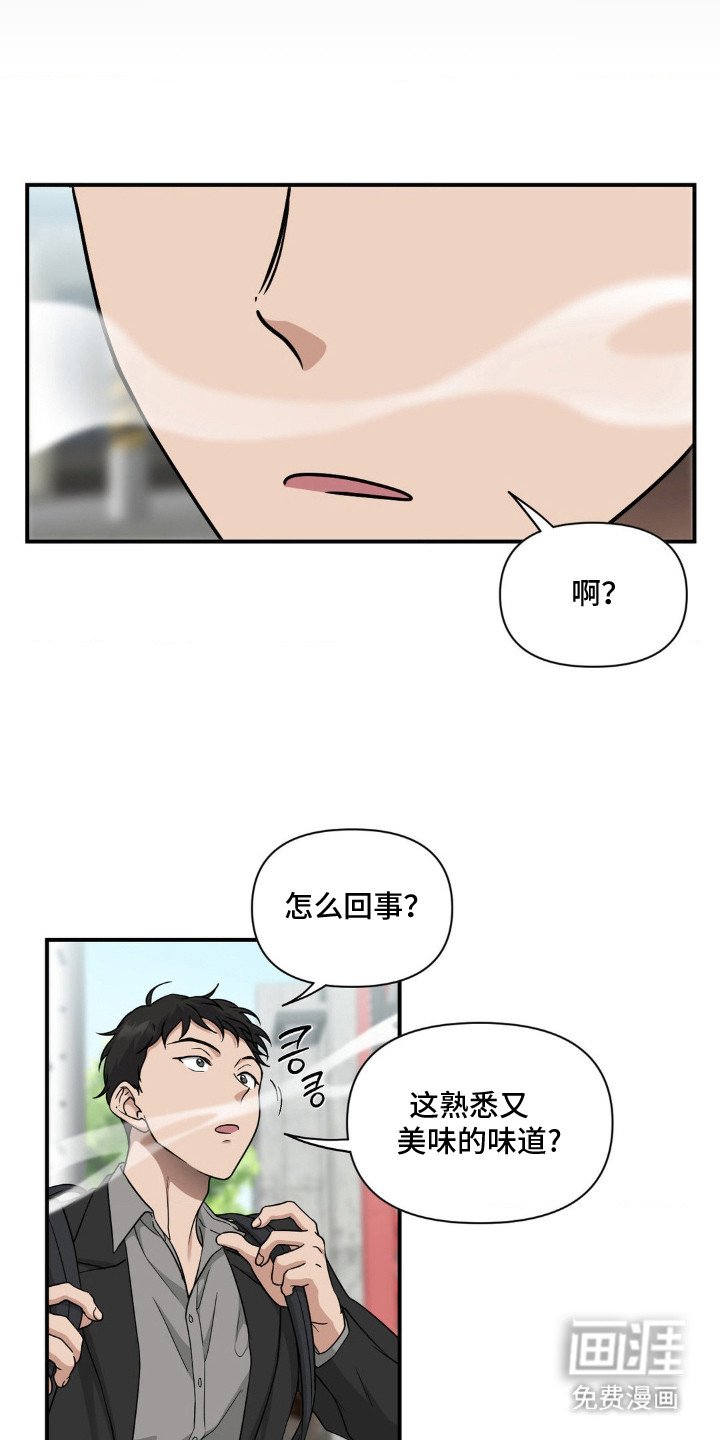 第11章：味道回来了