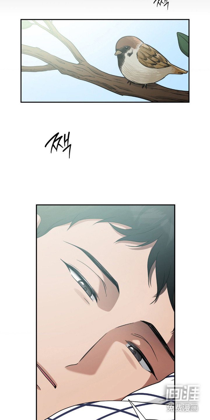 第9章：吓人的表情