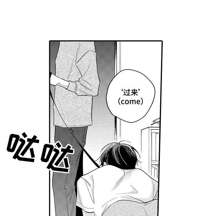 第11章：人气很高