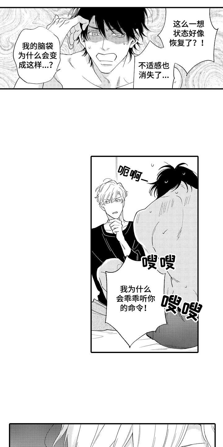 第4章：第二特征