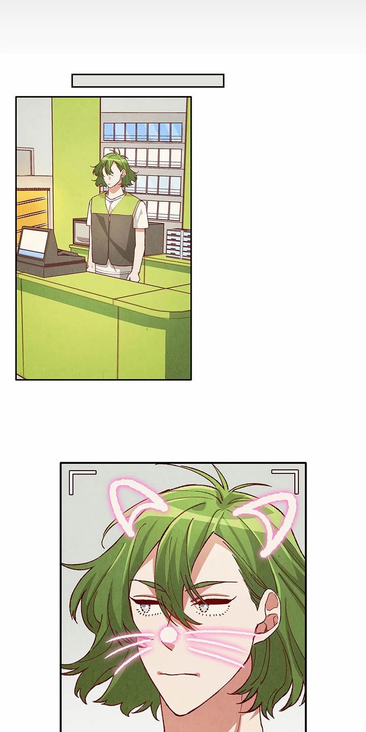 第26章：找茬