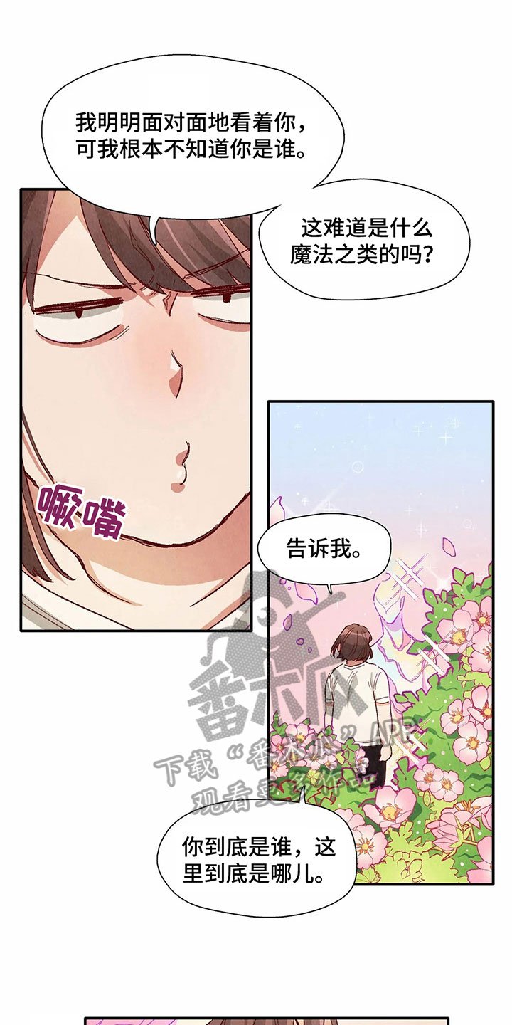 第33章：形象