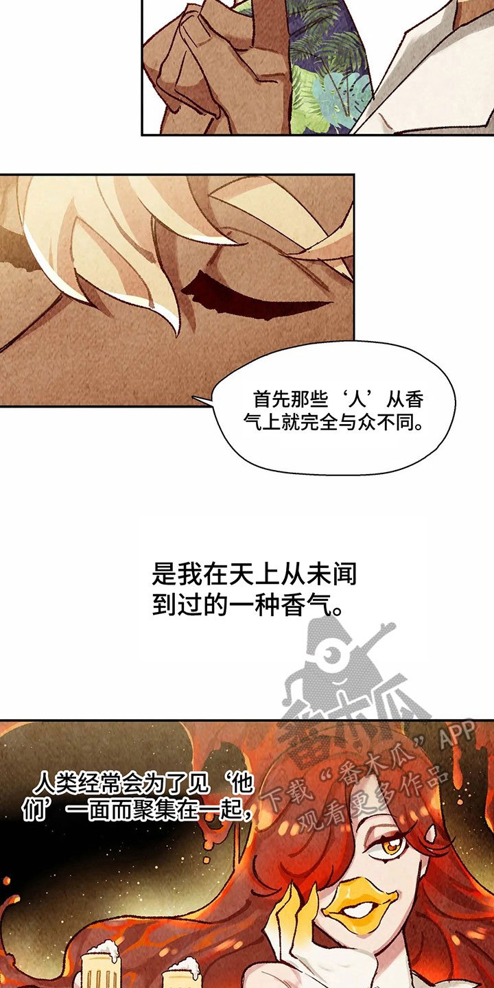 第6章：决心