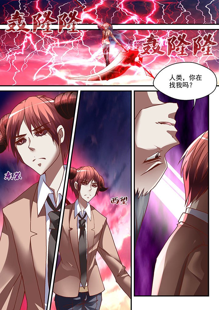第13章：