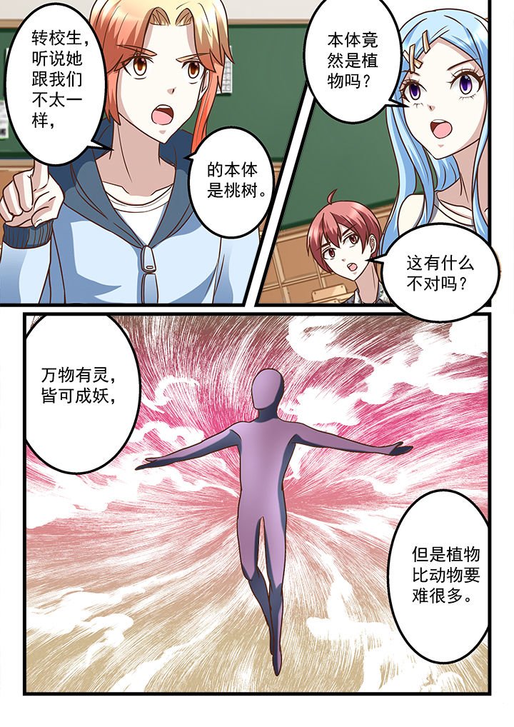 第216章：
