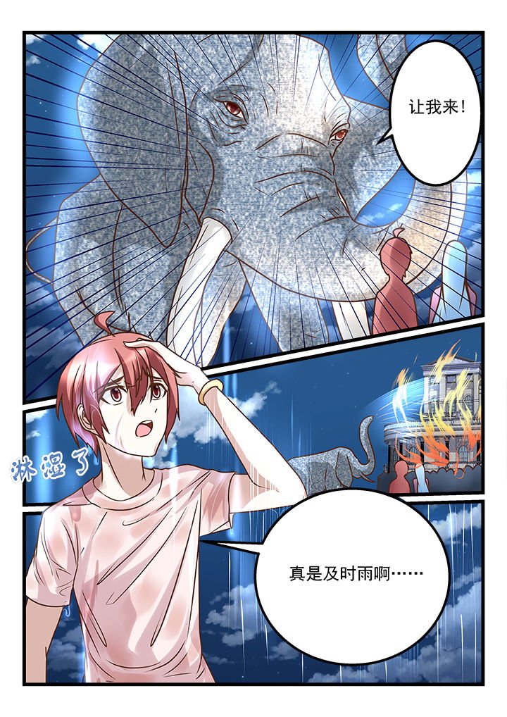 第217章：