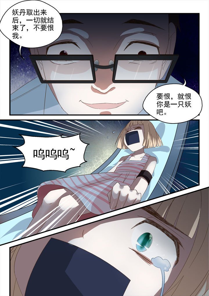 第54章：