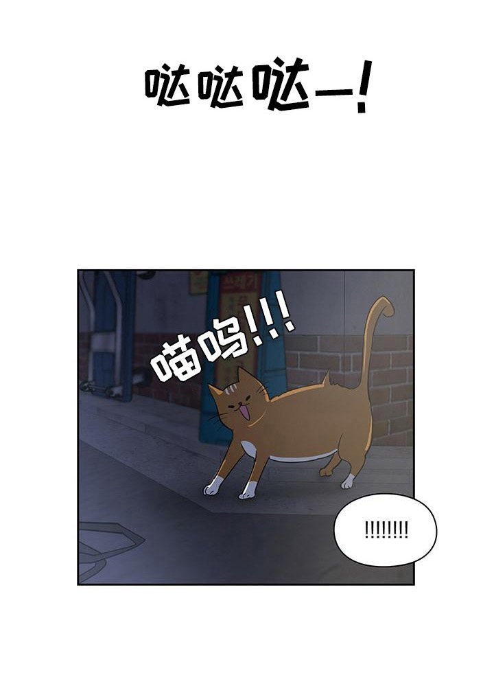 第40章：遇险