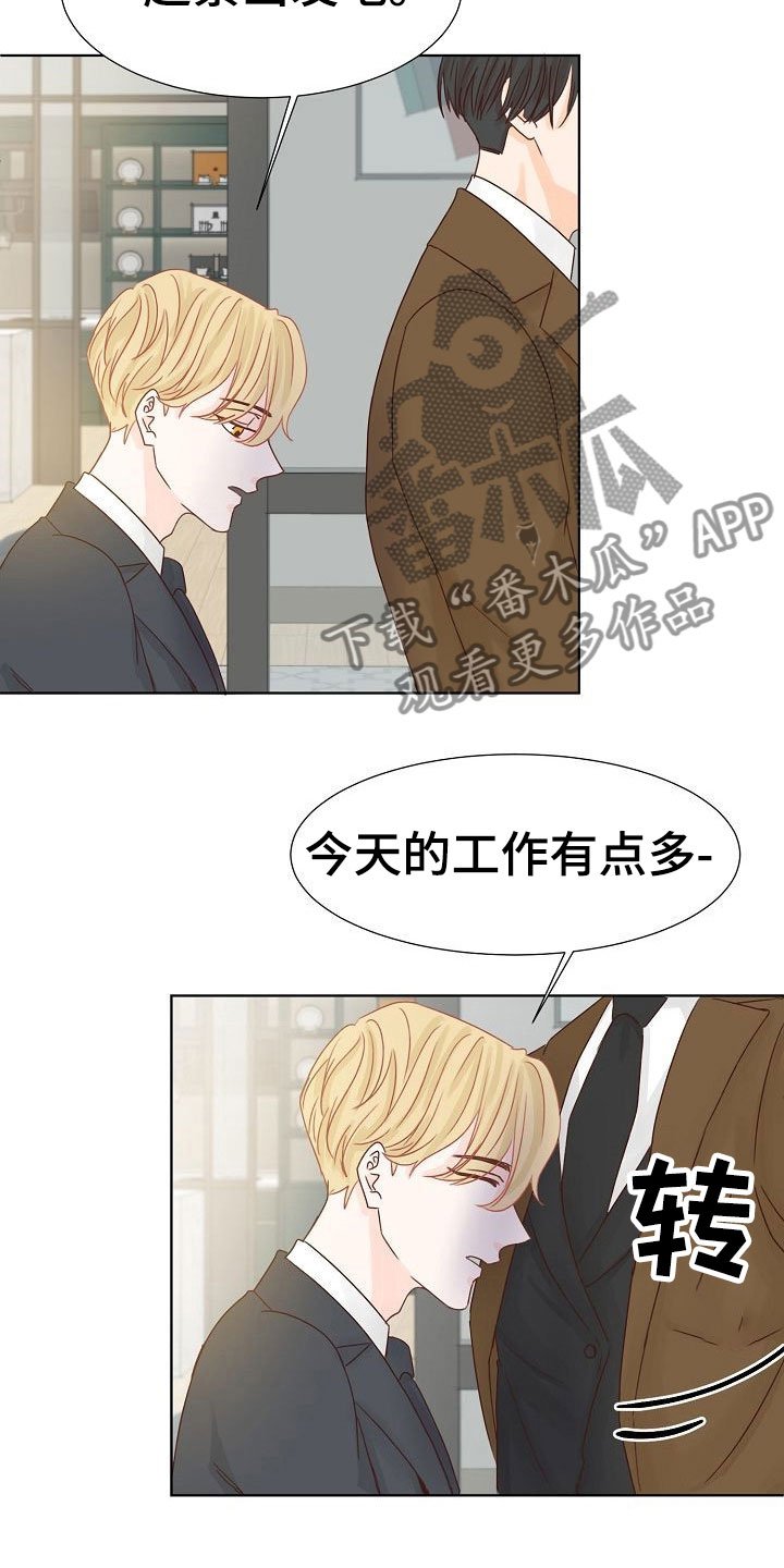 第11章：攻势