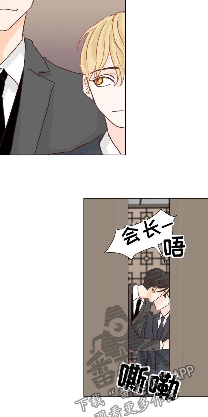 第11章：攻势