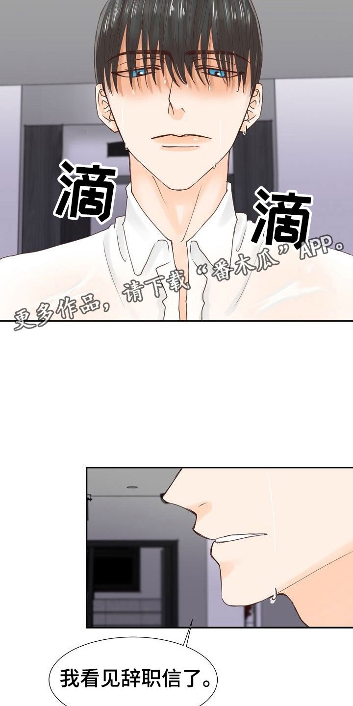 第14章：解释