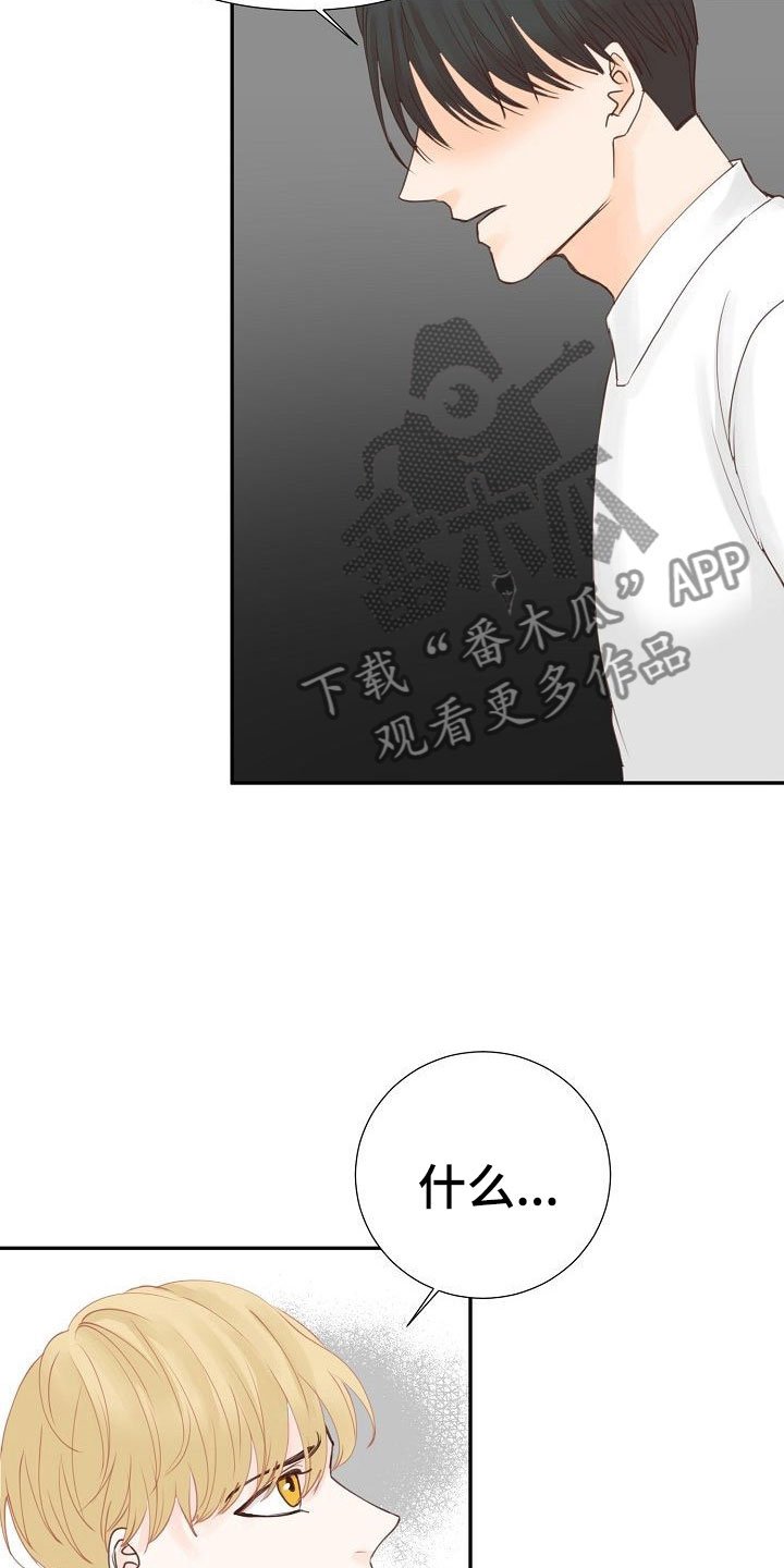 第14章：解释