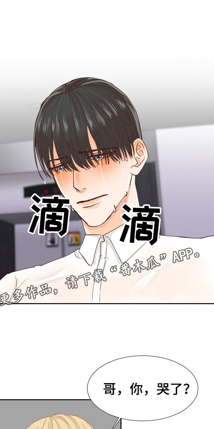 第14章：解释