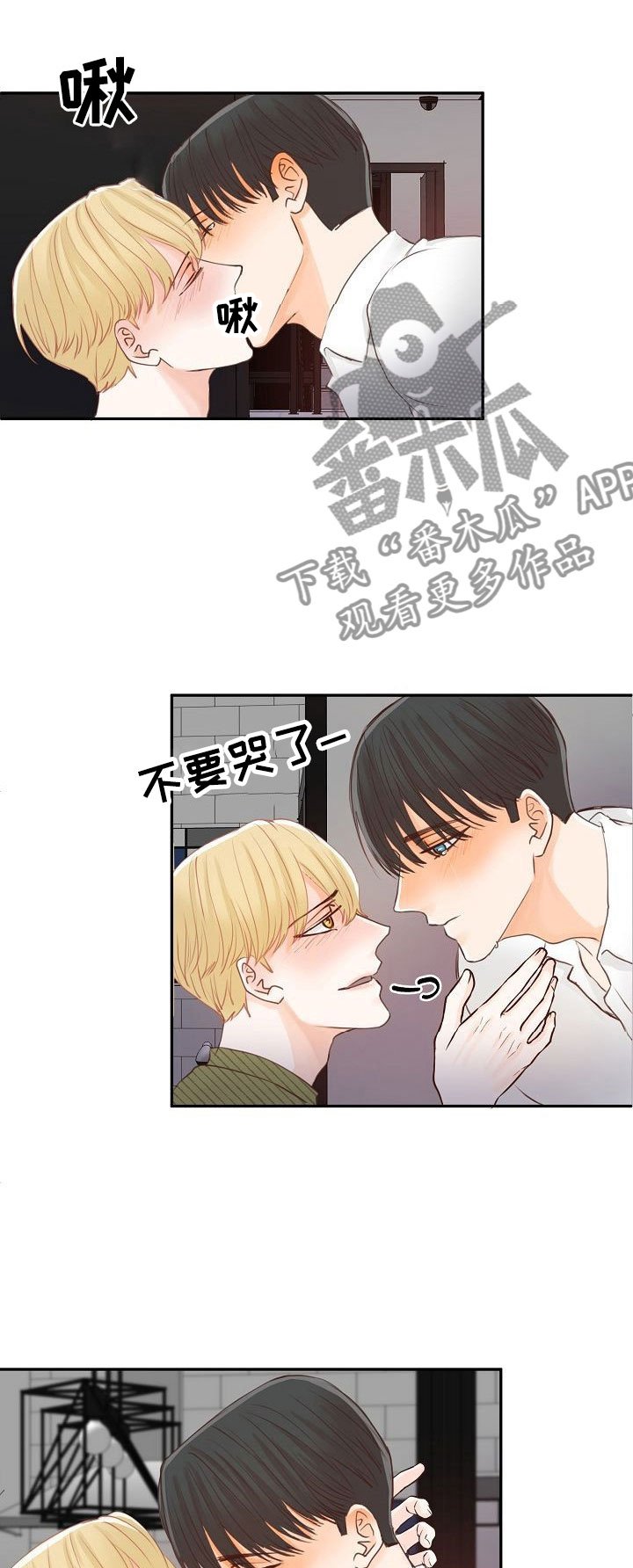 第14章：解释