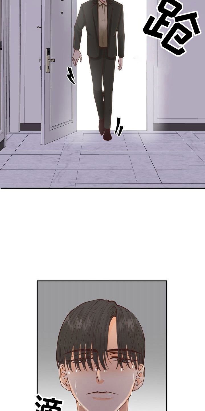 第15章：计划