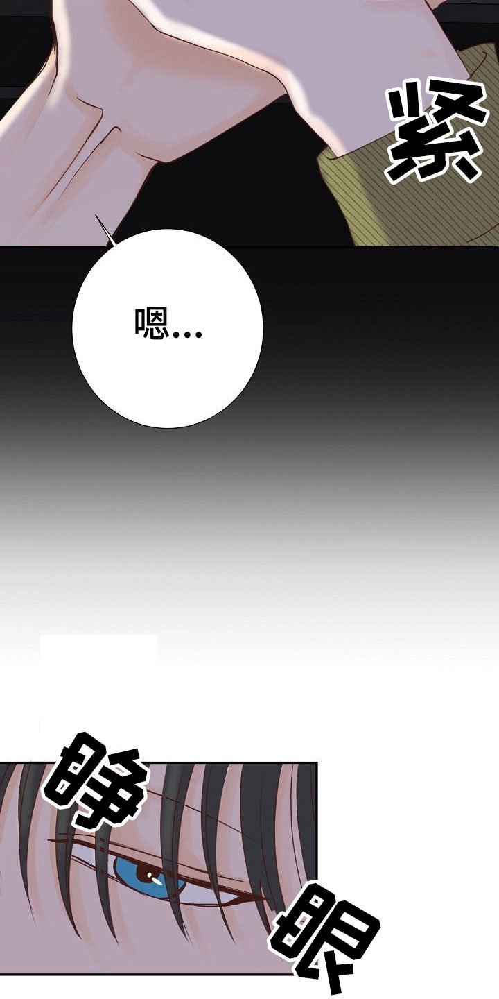 第15章：计划