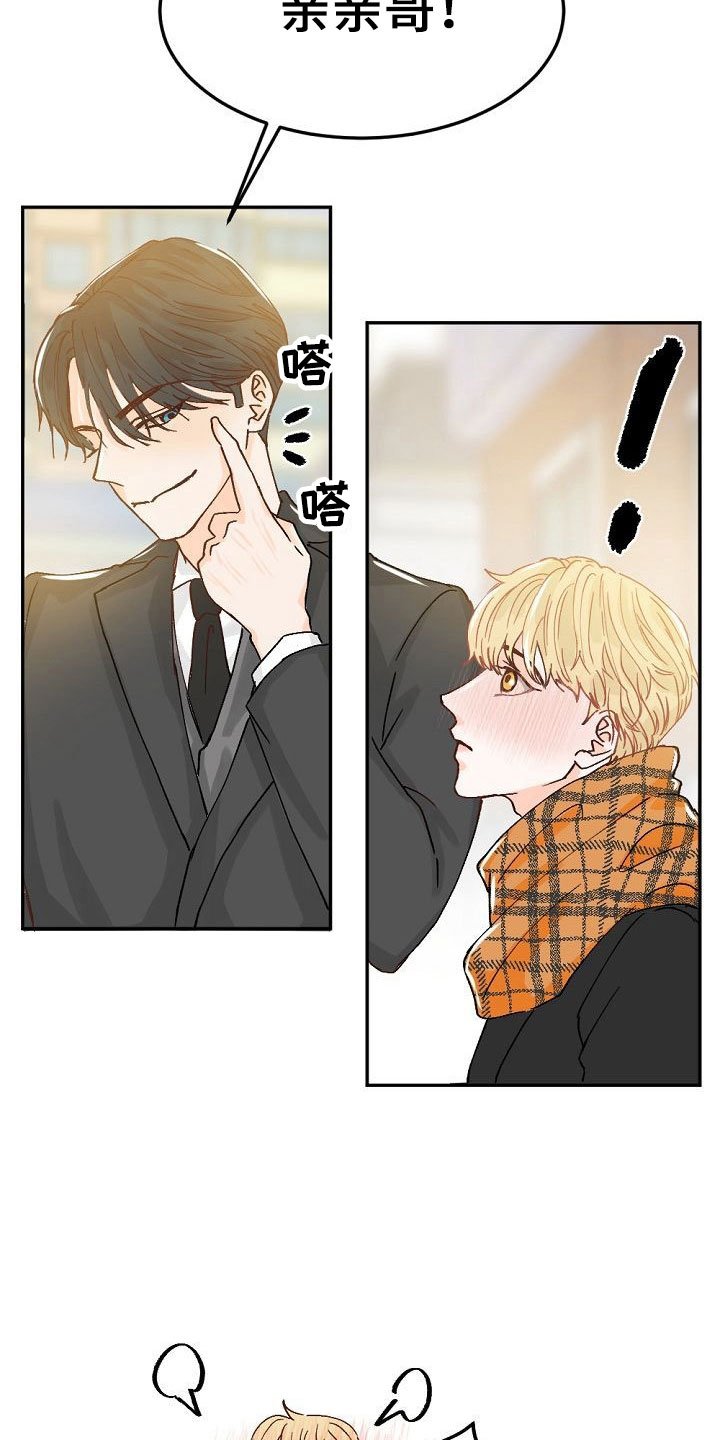 第2章：暗恋的哥哥