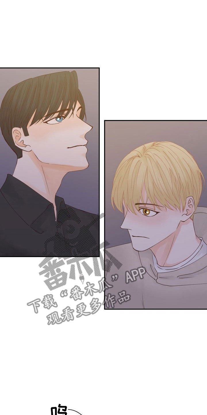 第21章：告白