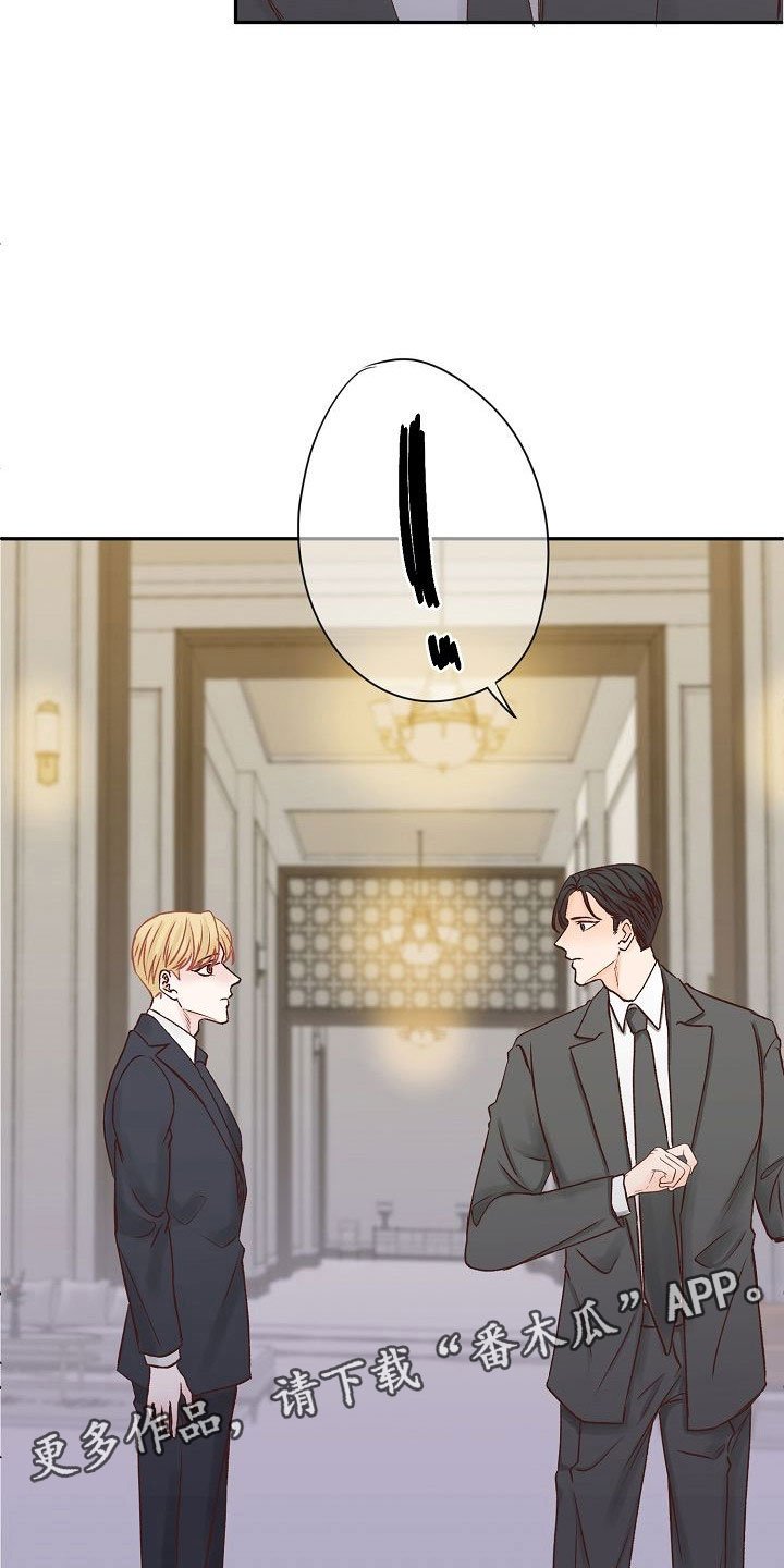 第23章：遇见