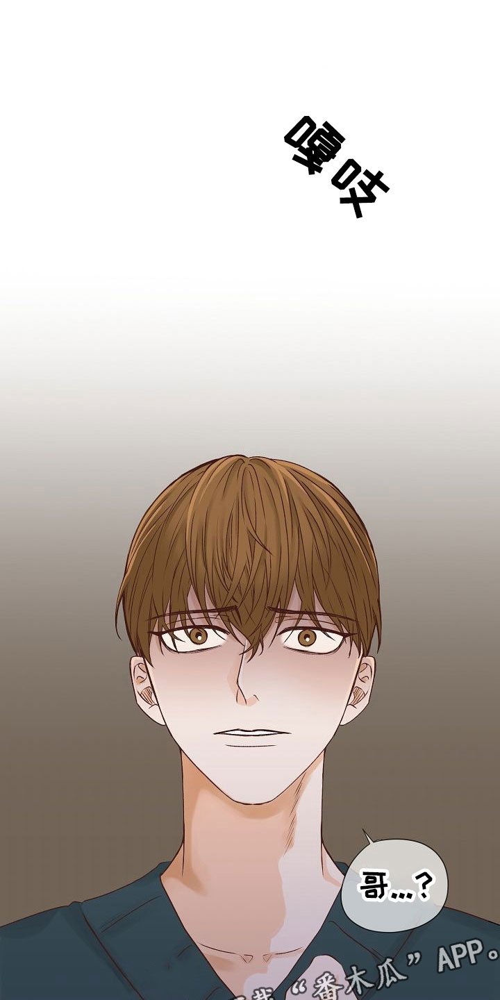 第24章：谋划