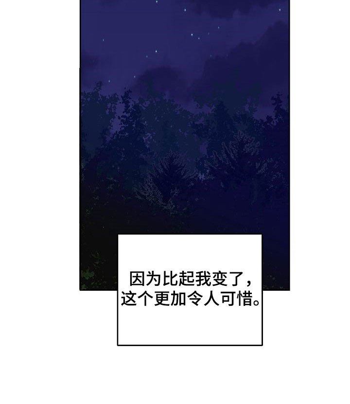 第32章：闪闪发光