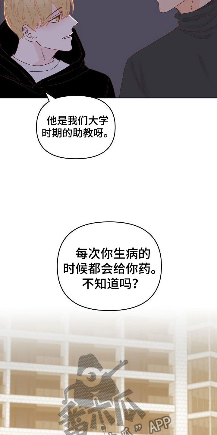 第32章：闪闪发光