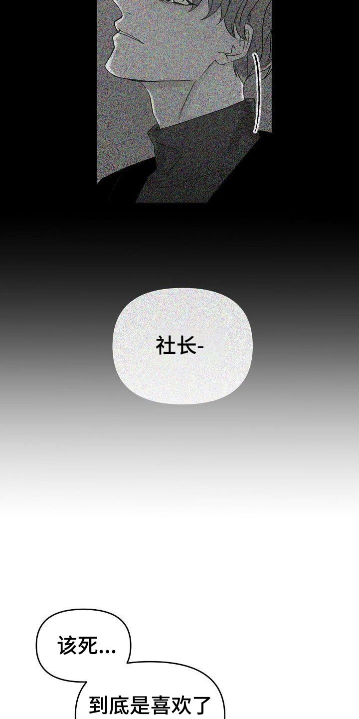 第32章：闪闪发光