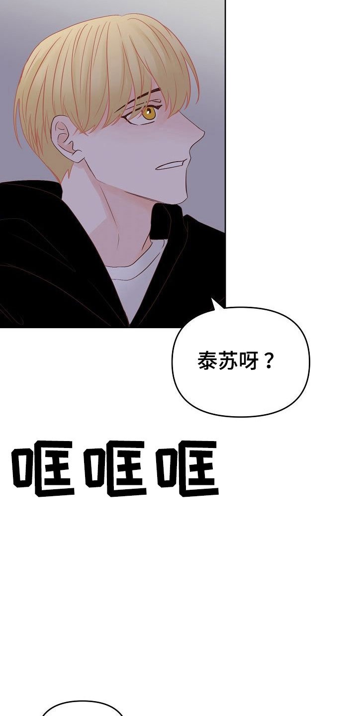 第32章：闪闪发光