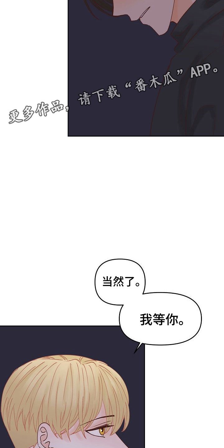 第32章：闪闪发光
