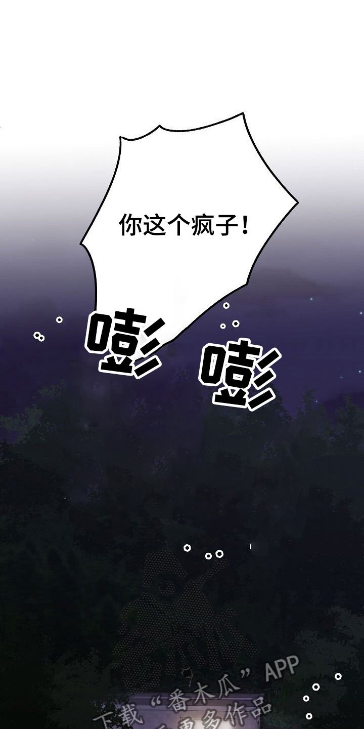 第32章：闪闪发光